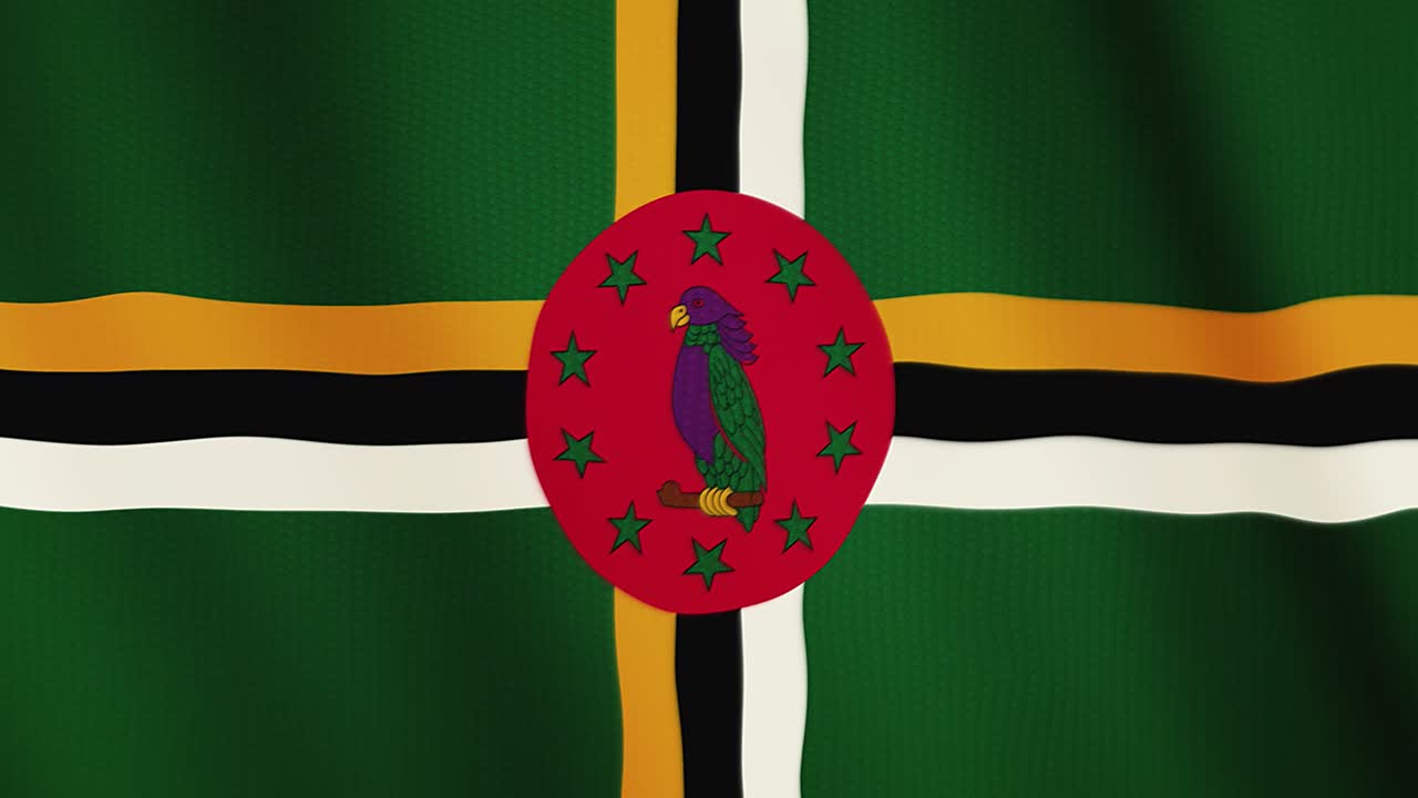 Dominica flag waving animation. Full Screen. Symbol of the country