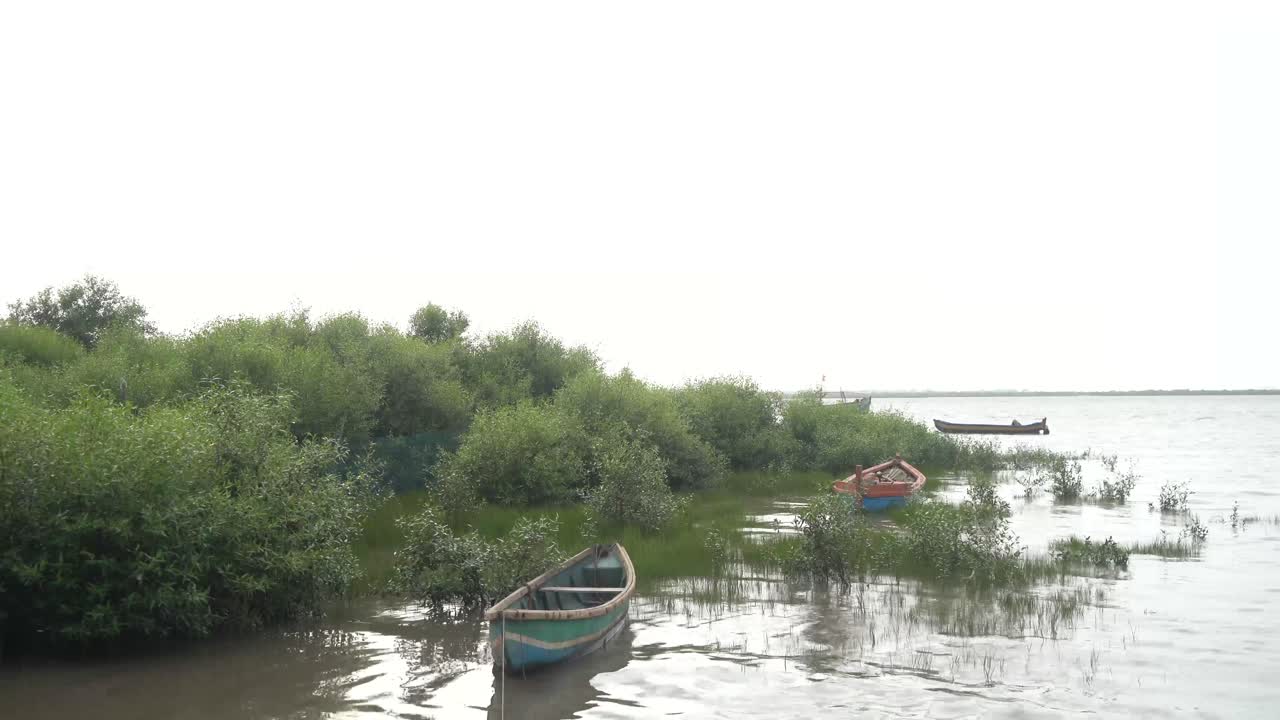 barcos junto al río descansando en maharashtra india. 4k