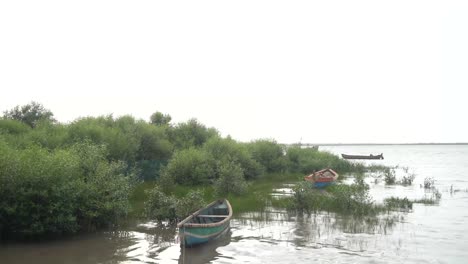 river side boats resting in maharashtra india.
4k