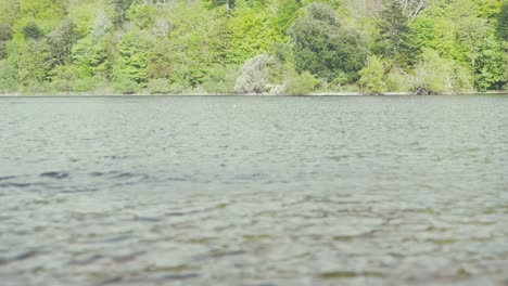 stone skimming across water scenic wilderness slow motion