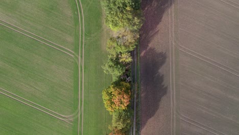 Top-view-drone-footage-of-country-road-and-tree-line-near-the-road-with-autumn-colors,-taken-at-place-called-Uetz-in-Brandenburg,-Germany