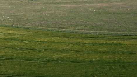 dolly left aerial of breezy farmland with distant grazing sheep