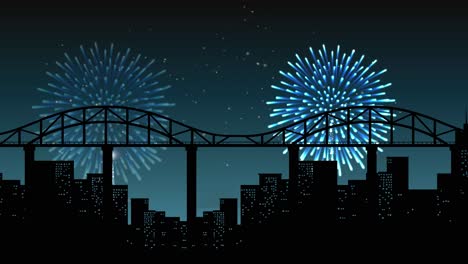 colorful fireworks illuminate the night sky