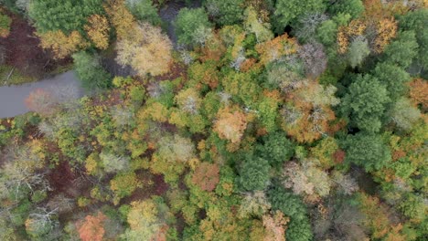 Herbstfluss-Aus-Der-Luft-Enthüllt