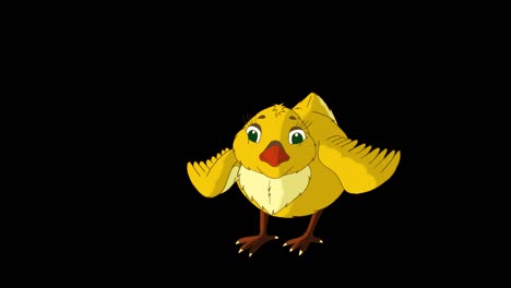 little orange chicken stands and pecks (alpha matte)