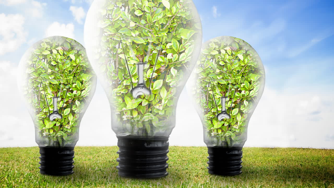 animación de bombillas llenas de plantas sobre el cielo azul y la hierba