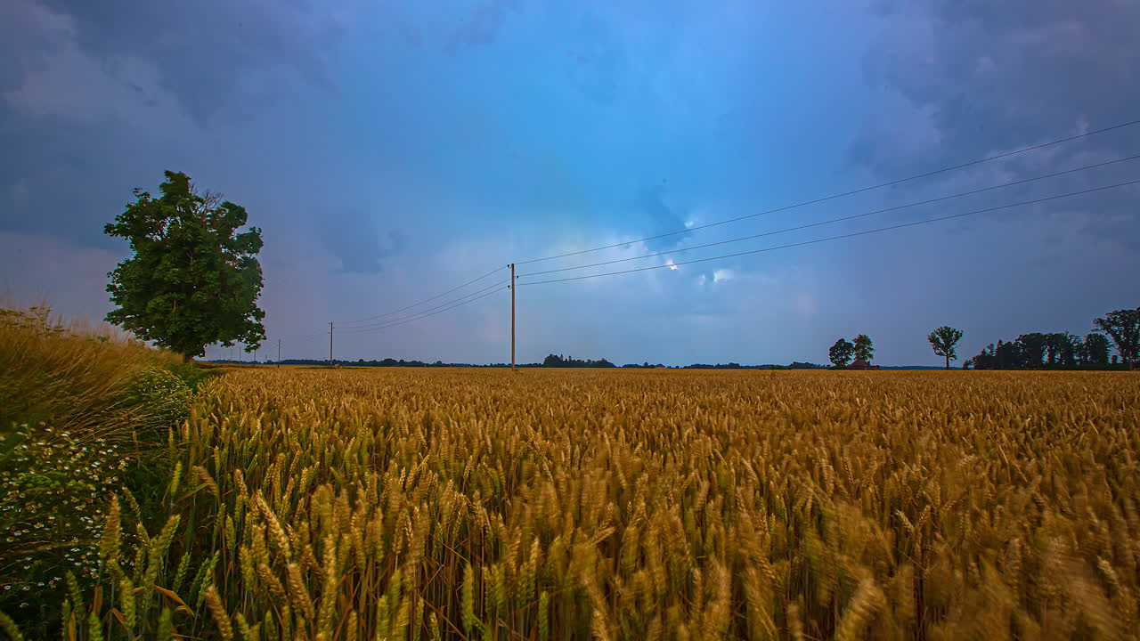 흐린 들판과 움직이는 구름 저녁 시간 경과, hd 퓨전 클립