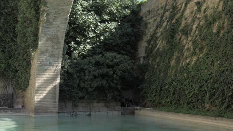 The-Arco-de-la-Drassana-Panning-Down-to-Pond-on-a-Sunny-Day-With-Palm-Trees-in-Background