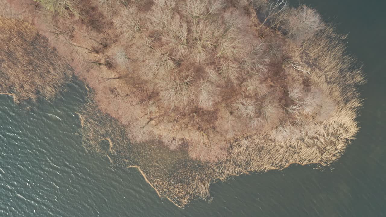 공중:바람이 많이 부는 날 호수의 섬 근처에서 바람에 흔들리는 갈대