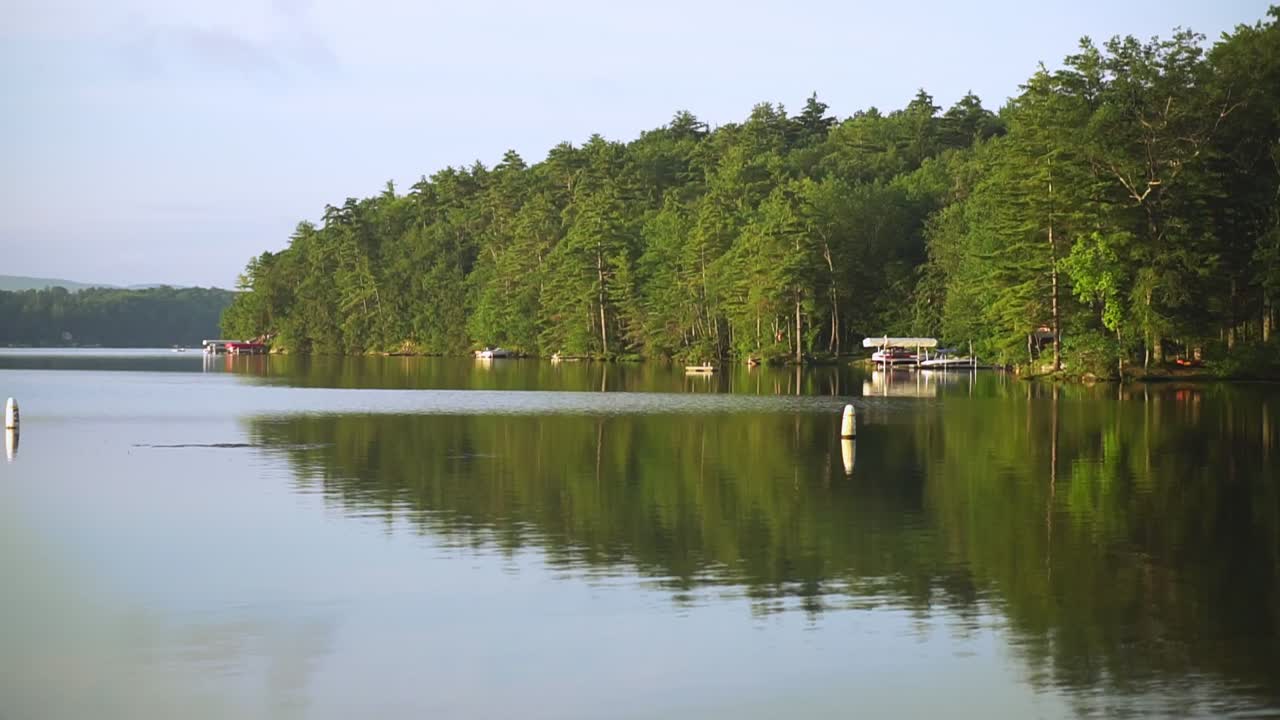 beautiful lake on an early morning calm, serene trees