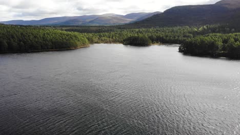 Lago-An-Eilein-Rodeado-De-Pinos-Del-Bosque-De-Rothiemurchus