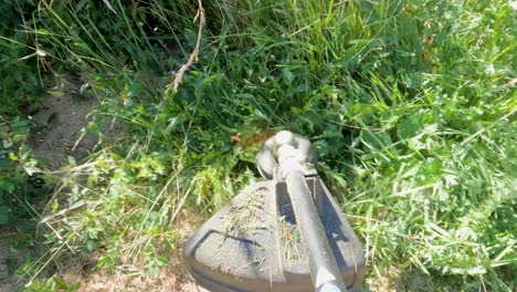 weed wacker nivelación de hierbas y flores invasivas en