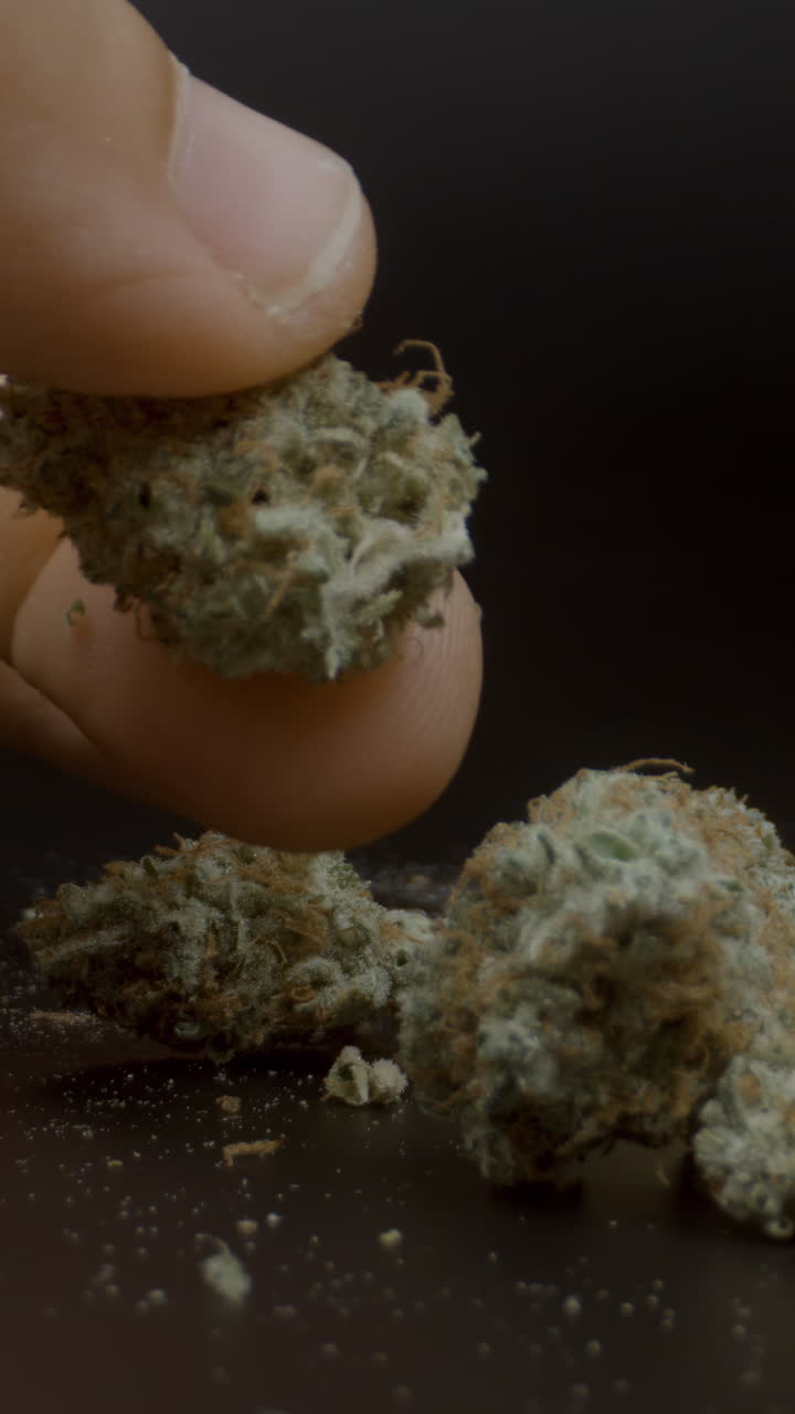 대마초 이 수직으로 가게