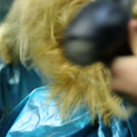 cortar el cabello en el salón
