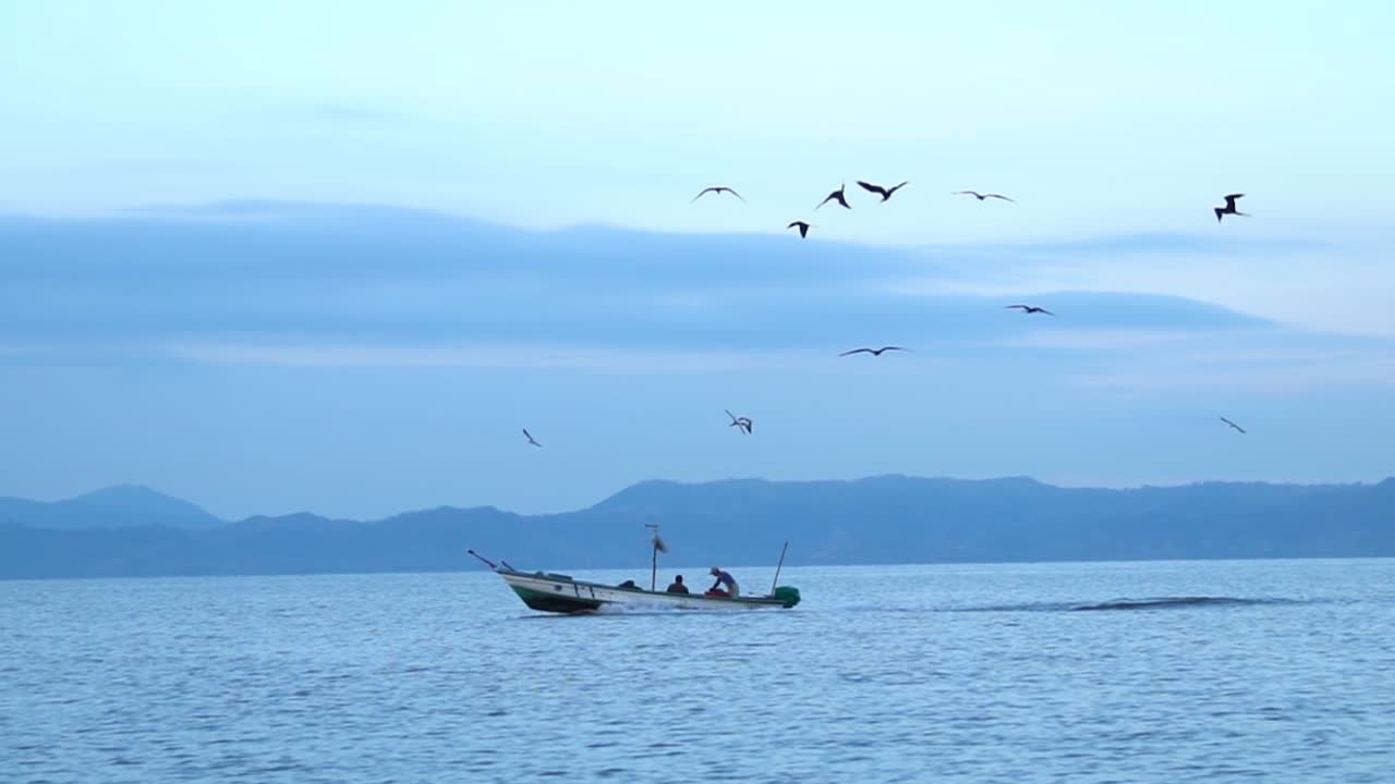 슬로우 모션 샷:바다에서 배를 몰고 있는 어부가 굶주린 갈매기에 둘러싸여 뒤따르고 있다