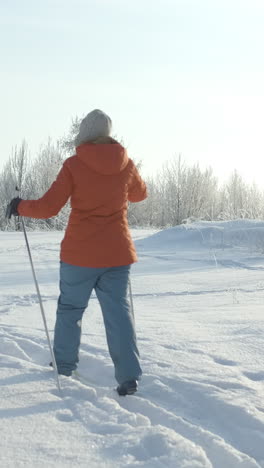 woman cross-country skiing in snowy landscape