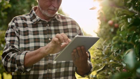 vista de mano del agricultor moderno comprobando algunos datos de la tableta