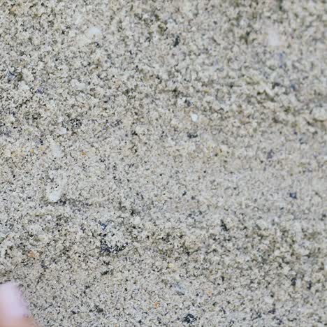 hands of the woman are leaving traces of palms on sand on the shore of sea in the summer. close-up