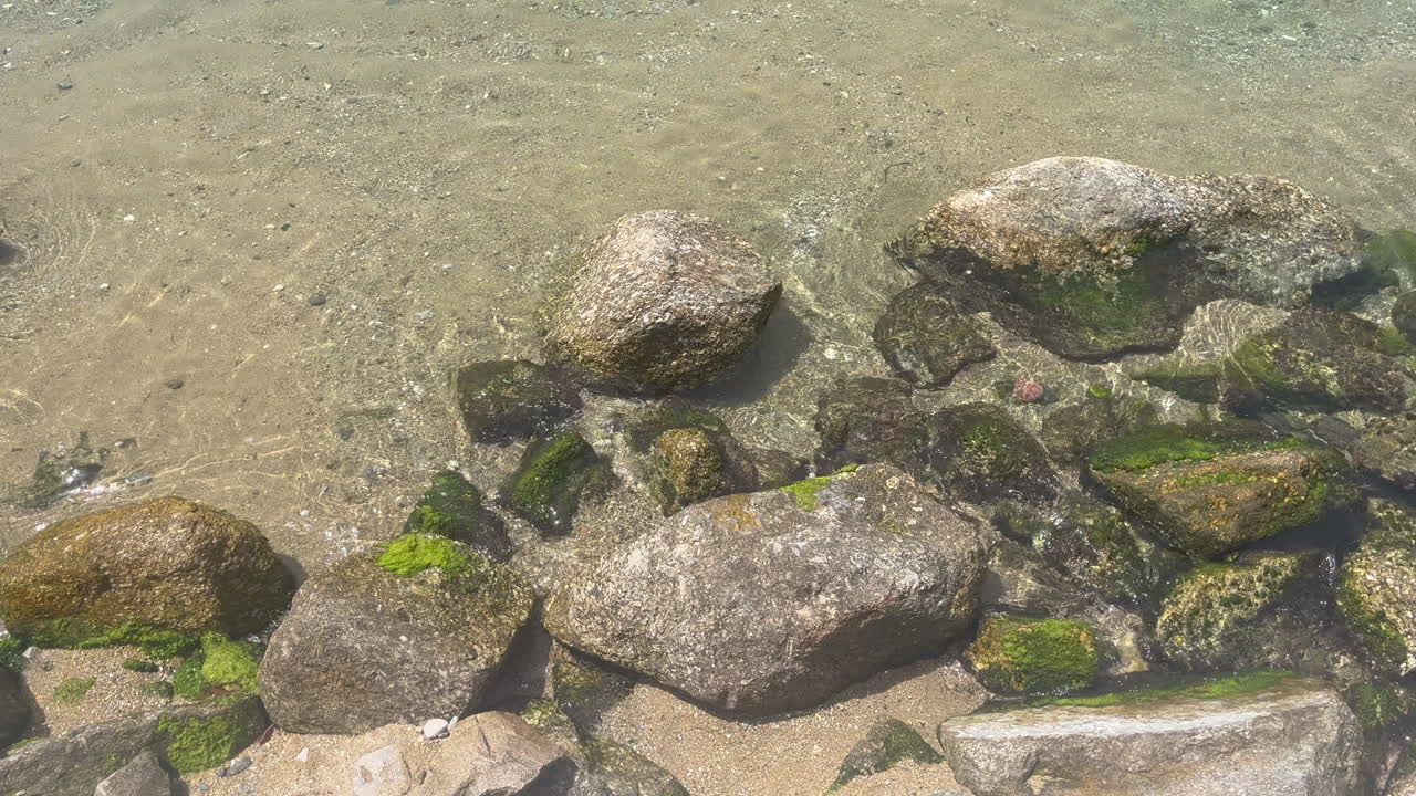 Una collezione di rocce, alcune coperte di muschio verde o alghe, parzialmente sommerse nell'acqua limpida e poco profonda del Vecchio Porto di Mykonos. Perfetto per progetti di viaggio o natura o come sfondo.