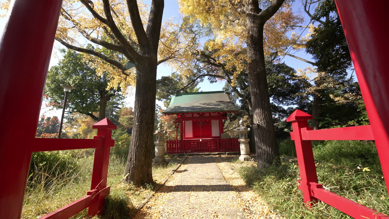 Traditional red torii gate at a japanese shrine with yellow ginkgo leaves