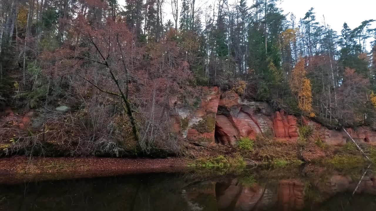 cueva de los ángeles, un acantilado de arenisca roja en forma de alas de ángel, en el río salaca en el parque natural skanaiskalns en mazsalaca, letonia, tiempo de otoño