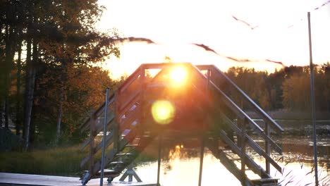 hiking young boy walks over a bridge on a walking trail at sunset