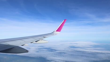 airplane wing view from above