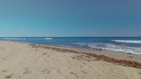 moviéndose a lo largo de una playa vacía