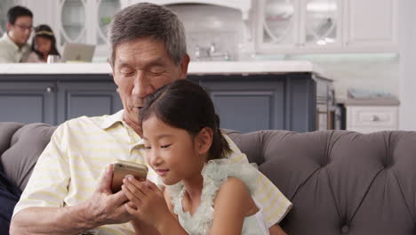 Abuelo-Y-Nieta-Usando-Un-Teléfono-Móvil-Filmado-En-R3d