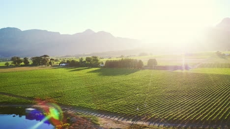 over the winelands