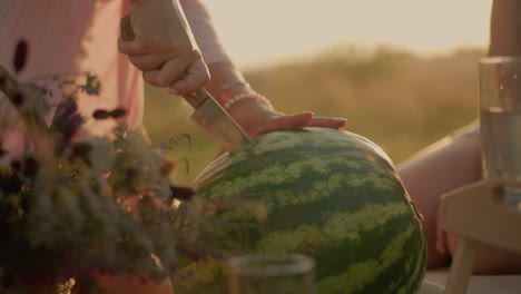 close-up of person slicing watermelon outdoors with a knife, capturing vibrant green skin of fruit and floral arrangement in foreground under warm sunlight