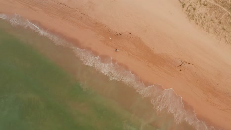 Strand--Und-Felstexturen-Von-Cronulla-Sydney,-Australien