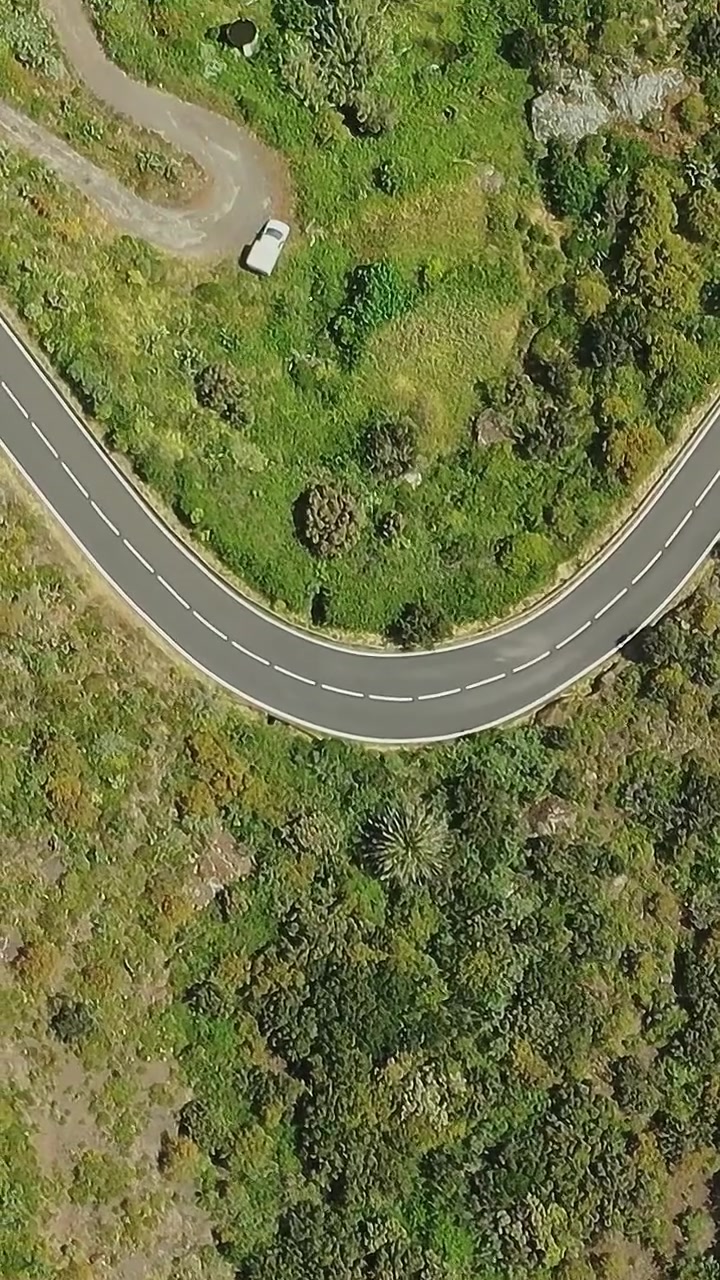 Carretera sinuosa que atraviesa un terreno verde en Tenerife, España, en un día soleado