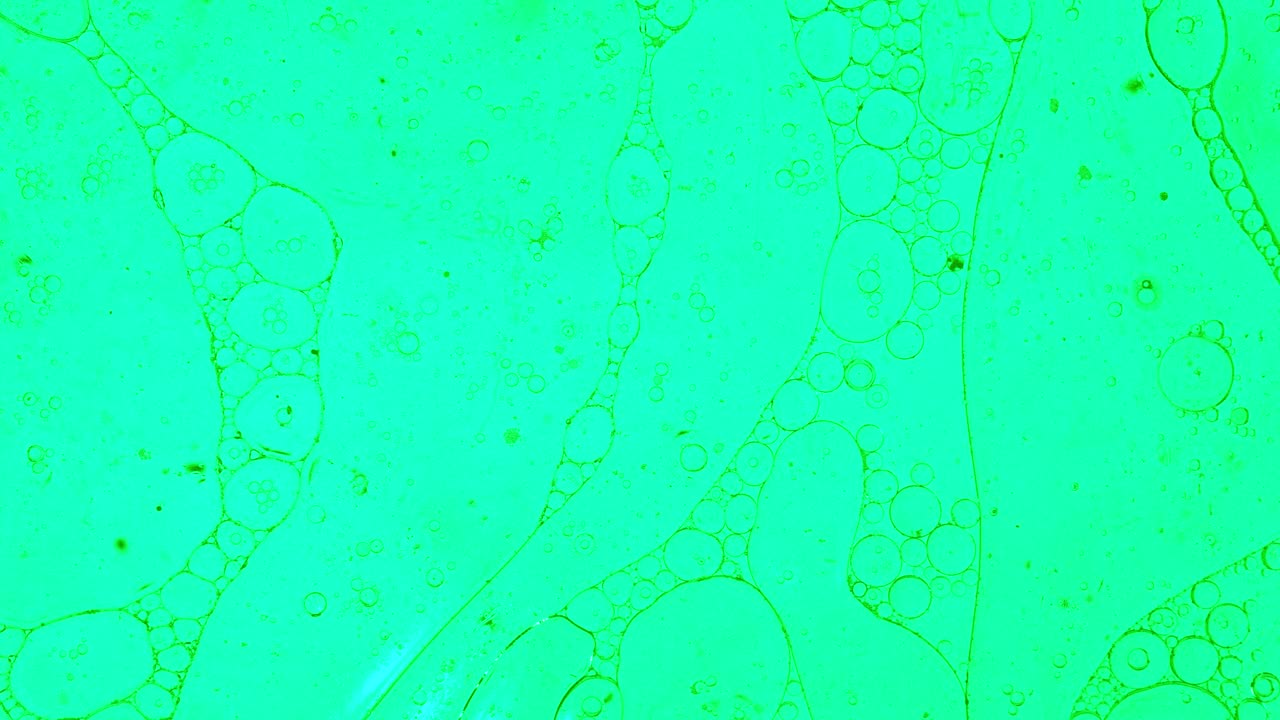 Colorful oil drops floating on water surface, top view. Fantastic abstract background. Bright bubbles moving and spreading. Close up 4k video of weird liquid structures. Scientific chemical experiment