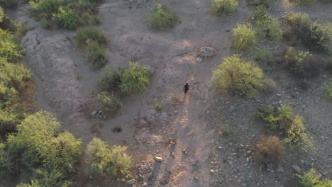 High-Aerial-Drone-Desert-Hike-with-Woman-Backpacker-in-Lush-Desert-in-the-Early-Morning-Sunlight