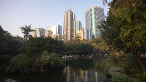 rascacielos que se elevan sobre el parque en hong kong