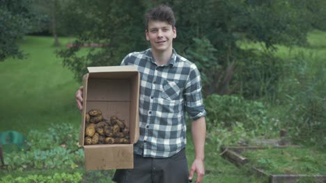 joven jardinero caucásico sosteniendo una caja de papas cultivadas orgánicamente sonriendo con orgullo