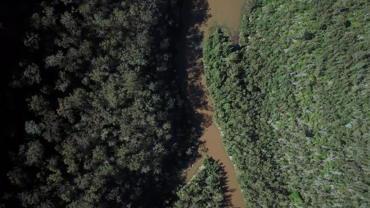 toma aérea de arriba hacia abajo volando sobre el río shoalhaven justo después de que pasa el embalse de la presa de sebo en nueva gales del sur, australia