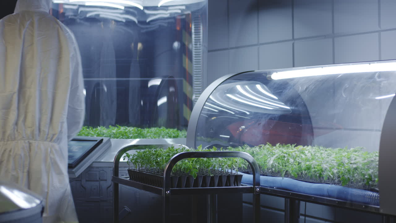 Controlled Environment Tomato Cultivation in a Modern Laboratory