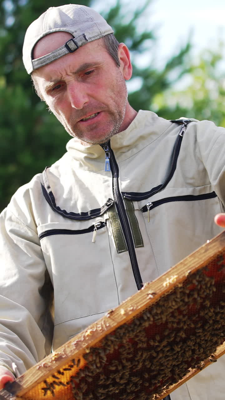 Male beekeeper looks at the full frame in his hands. Man checking up the frame covered with bees attentively. Nature backdrop in blur. Vertical video