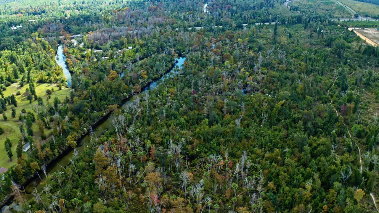 A sweeping view of a dense forest canopy intersected by a winding river, showing the transition of green and autumn foliage across a wild natural wilderness from above