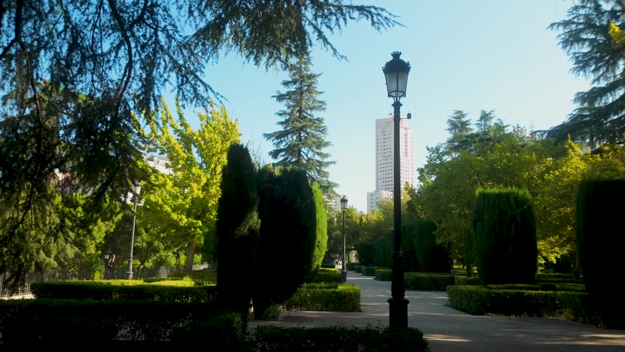 Una vista serena de un parque público en Madrid con setos bien cuidados, altos pinos y un rascacielos distante bajo un cielo azul claro. Ideal para contenido de viajes y naturaleza urbana.