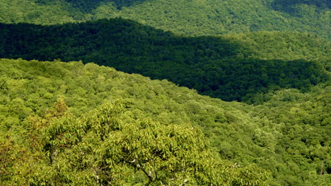 Cinematic drone shot flying over the top of one ridge revealing a large forested mountain valley