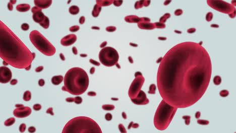 animación de múltiples células sanguíneas flotantes listas para combatir la epidemia de infección por coronavirus