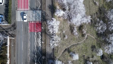 Overhead-View-Of-Cars-Driving-In-The-Road-Along-Ice-covered-Trees-In-Winter-In-Galati,-Romania