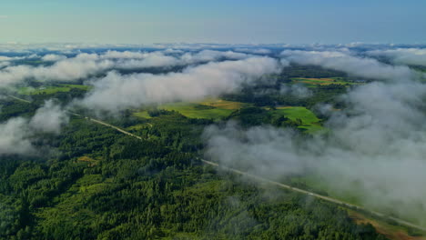 low clouds over dense nature near countryside during sunrise