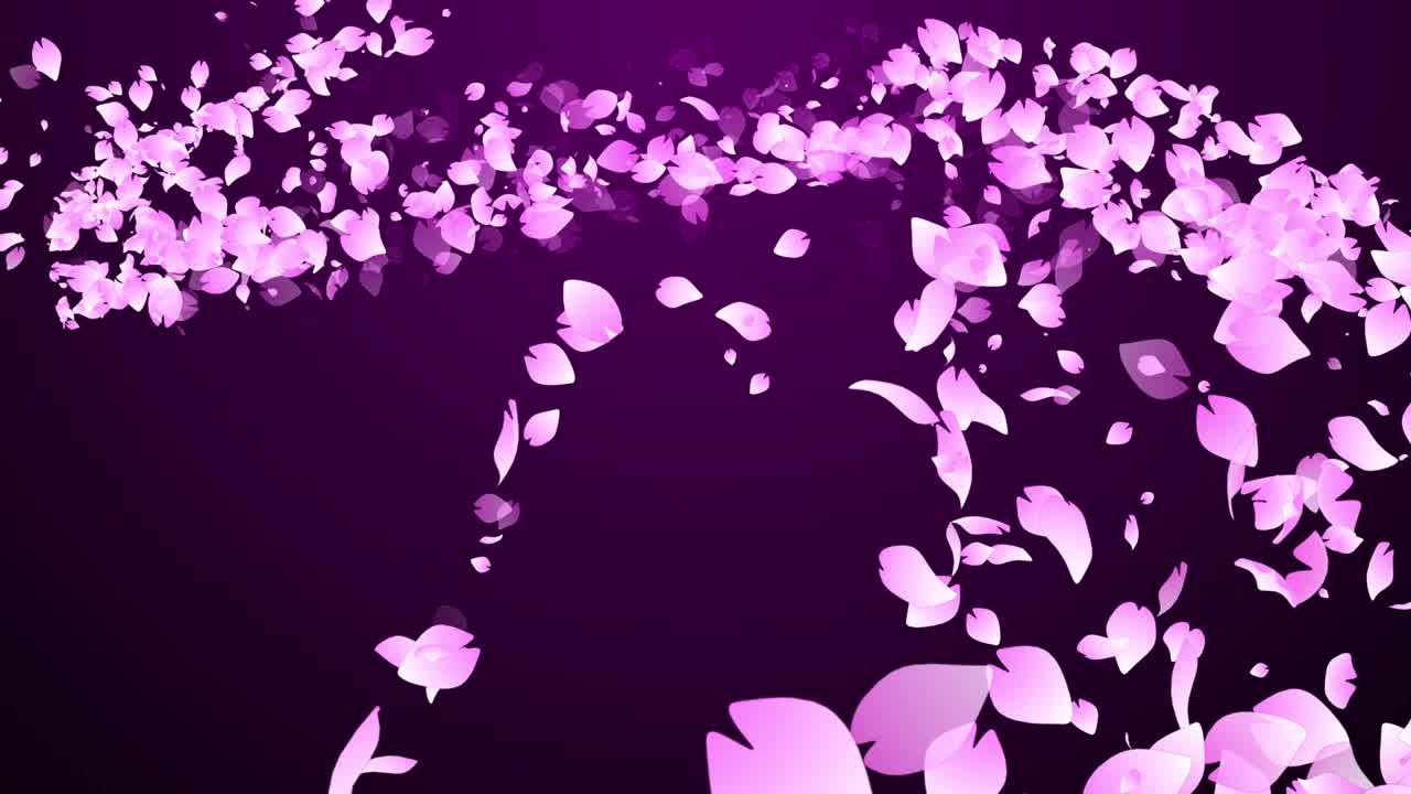 사쿠라 체리 꽃 입자 애니메이션