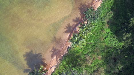 Magischer-Luftbildflug,-Natürlicher-Sandstrand,-Insel-Koh-Chang,-Thailand,-Sonniger-Tag-2022