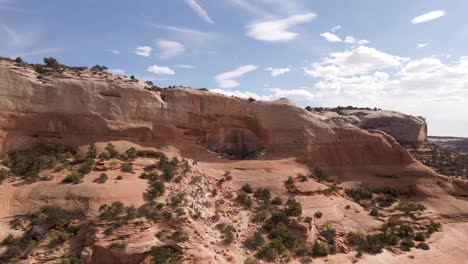 stunning landscape of wilson arch with green trees and plants on the cliffs in utah, usa