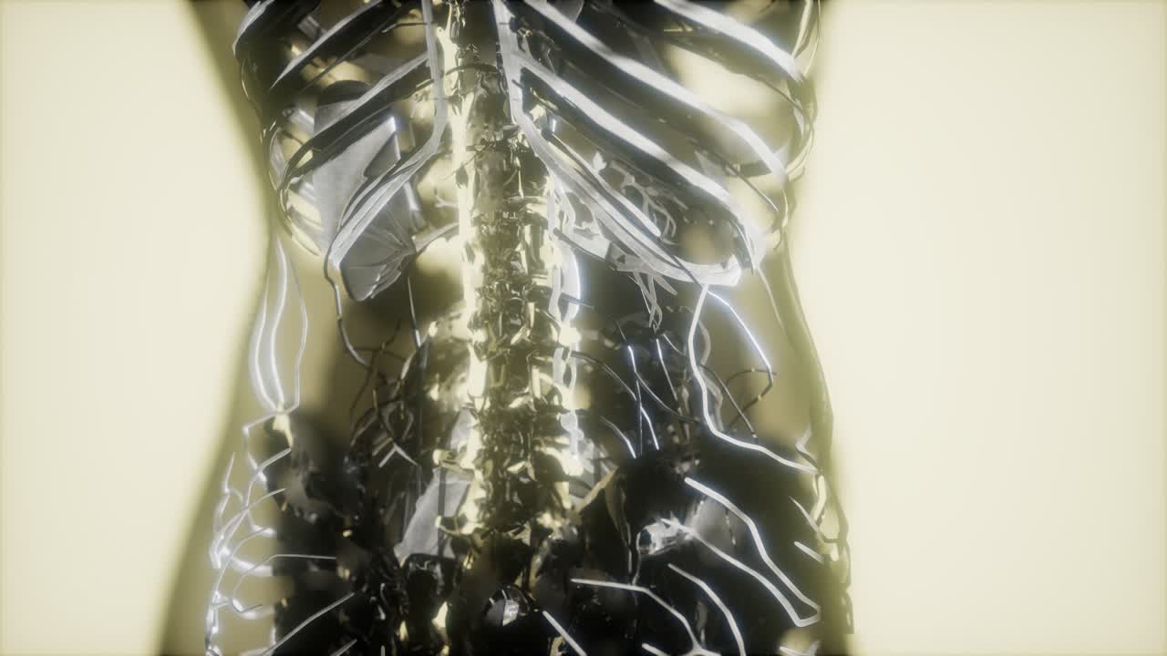 inspección de la sangre en los vasos sanguíneos del sistema circulatorio